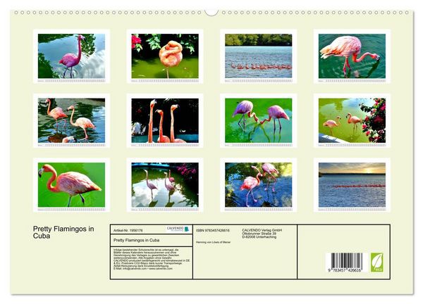 Produktbild: Pretty Flamingos in Cuba (hochwertiger Premium Wandkalender 2026 DIN A2 quer), Kunstdruck in Hochglanz