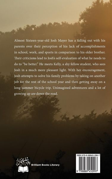Produktbild: Out of the Shadows and into the Fire