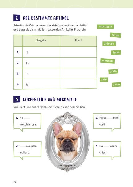 Produktbild: PONS Grammatik ohne Drama Italienisch