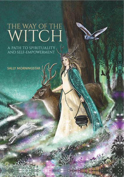 Produktbild: The Way of the Witch