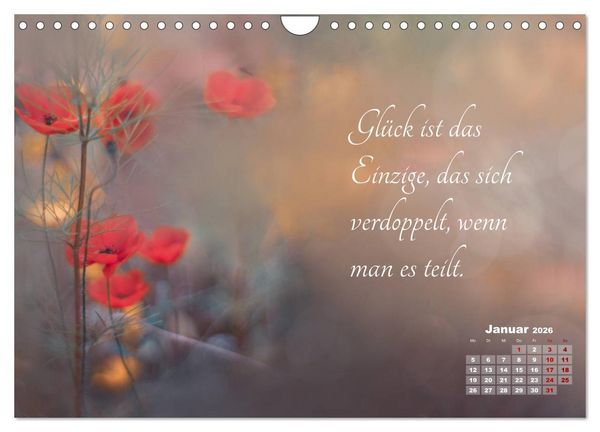 Produktbild: Chinesische Weisheiten (Wandkalender 2026 DIN A4 quer), CALVENDO Monatskalender