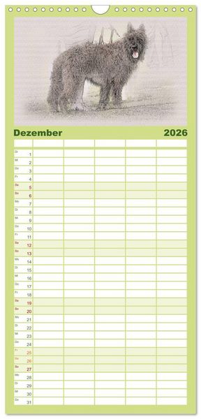 Produktbild: Familienplaner 2026 - Franz&ouml;sische Hirtenhunde 2026 mit 5 Spalten (Wandkalender, 21 x 45 cm) CALVENDO