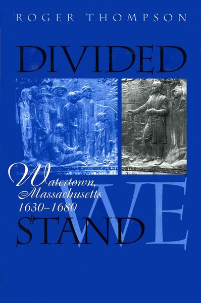 Produktbild: Divided We Stand