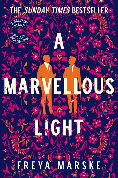 Book cover of A Marvellous Light