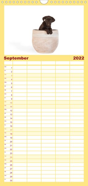 Produktbild: Familienplaner Labrador - Welpen (Wandkalender 2022 , 21 cm x 45 cm, hoch)