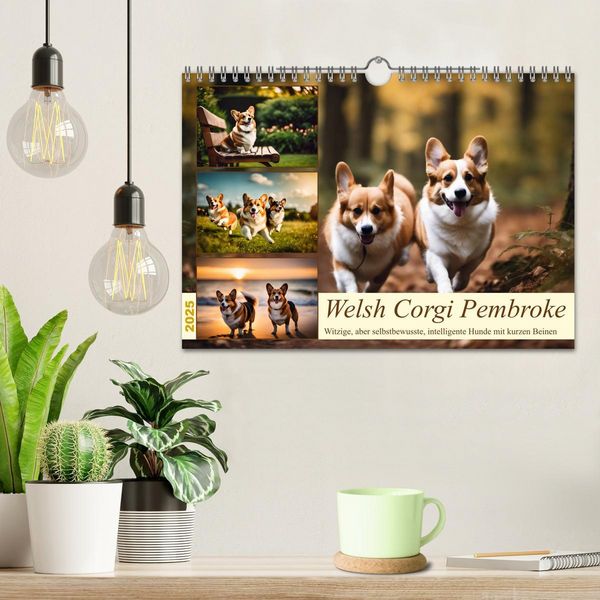 Welsh Corgi Pembroke (Wandkalender 2025 DIN A4 quer), CALVENDO Monatskalender