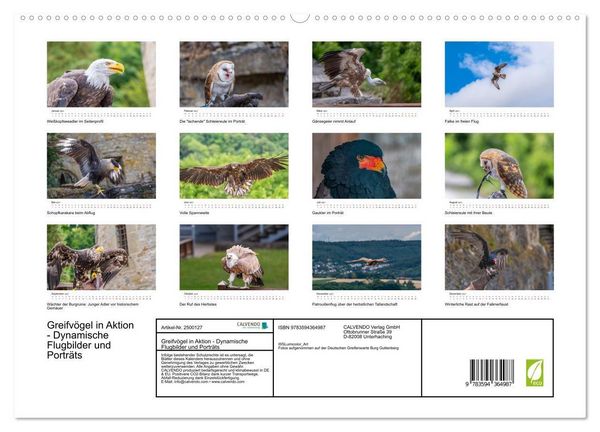 Produktbild: Greifv&ouml;gel in Aktion - Dynamische Flugbilder und Portr&auml;ts (hochwertiger Premium Wandkalender 2027 DIN A2 quer), Kunstdruck in Hochglanz
