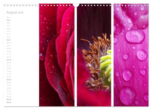 Produktbild: Natural Trios (Wall Calendar 2026 DIN A3 landscape), CALVENDO 12 Month Wall Calendar