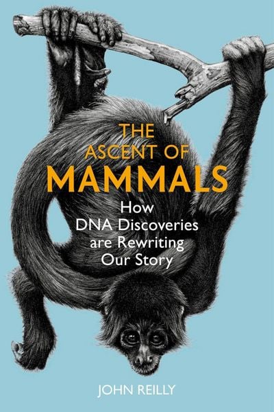 Produktbild: The Ascent of Mammals