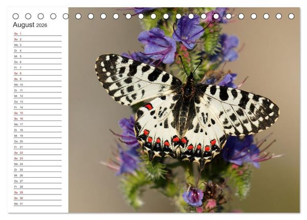 Produktbild: Faszinierendes Bulgarien (Tischkalender 2026 DIN A5 quer), CALVENDO Monatskalender
