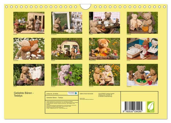 Produktbild: Geliebte B&auml;ren - Teddys (Wandkalender 2026 DIN A4 quer), CALVENDO Monatskalender
