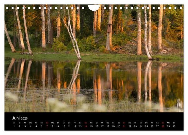 Produktbild: Schweden im Wechsel der Jahreszeiten (Wandkalender 2026 DIN A4 quer), CALVENDO Monatskalender