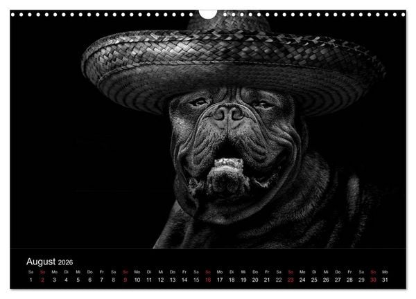 Produktbild: H&uuml;tehunde (Wandkalender 2026 DIN A3 quer), CALVENDO Monatskalender