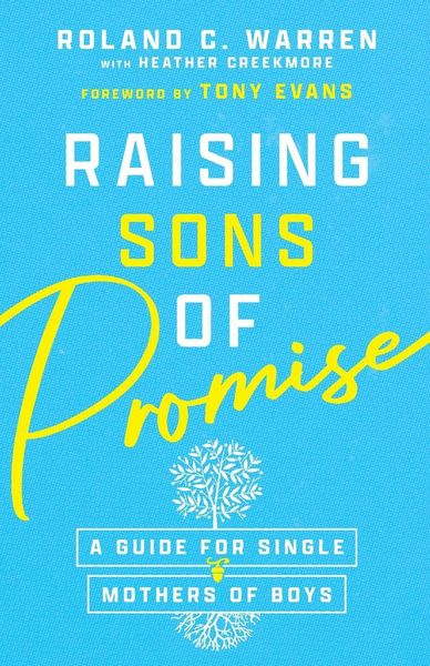 Produktbild: Raising Sons of Promise