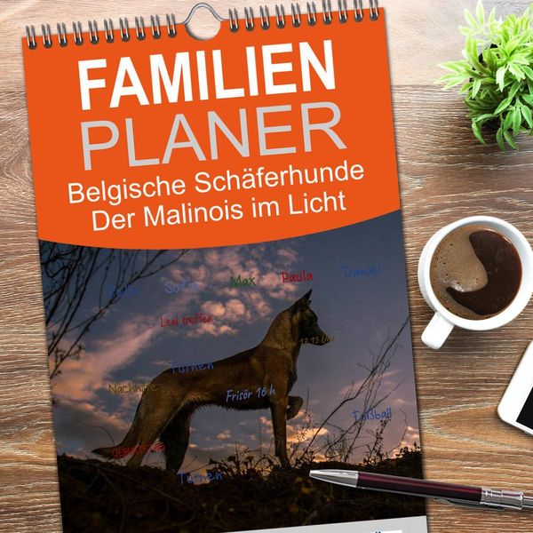 Familienplaner 2025 - Belgische Schäferhunde - Der Malinois im Licht mit 5 Spalten (Wandkalender, 21 x 45 cm) CALVENDO