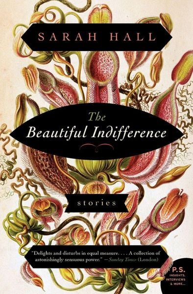 Produktbild: The Beautiful Indifference