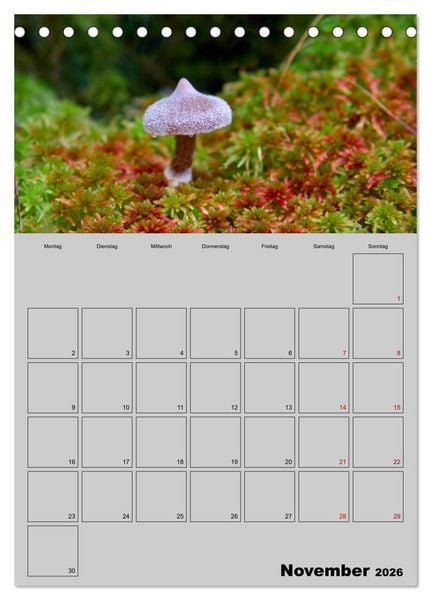 Produktbild: Quer durch die Pilze (Tischkalender 2026 DIN A5 hoch), CALVENDO Monatskalender