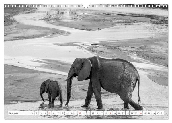 Produktbild: Emotionale Momente: Elefanten in black & white (Wandkalender 2026 DIN A3 quer), CALVENDO Monatskalender
