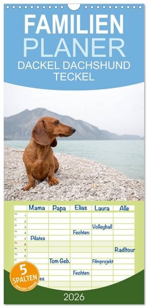 Produktbild: Familienplaner 2026 - DACKEL DACHSHUND TECKEL 2026 mit 5 Spalten (Wandkalender, 21 x 45 cm) CALVENDO