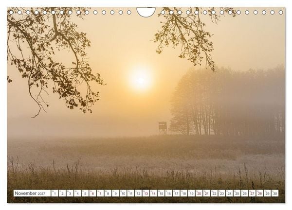 Produktbild: Natur und Tierparadies (Wandkalender 2027 DIN A4 quer), CALVENDO Monatskalender