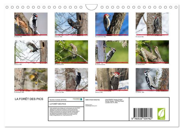 Produktbild: LA FOR&Ecirc;T DES PICS (Calendrier mural 2026 DIN A4 vertical), CALVENDO calendrier mensuel