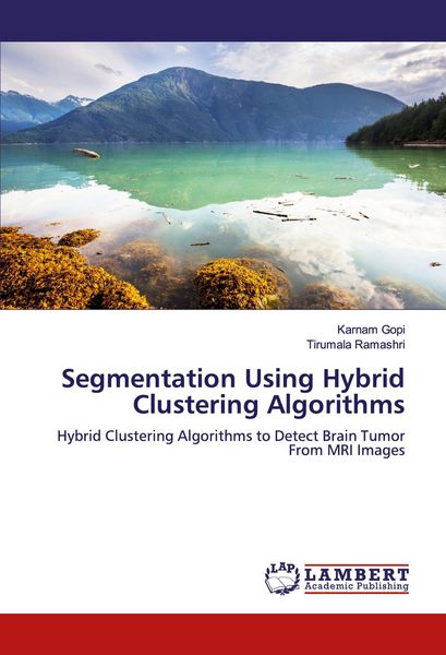 Produktbild: Segmentation Using Hybrid Clustering Algorithms
