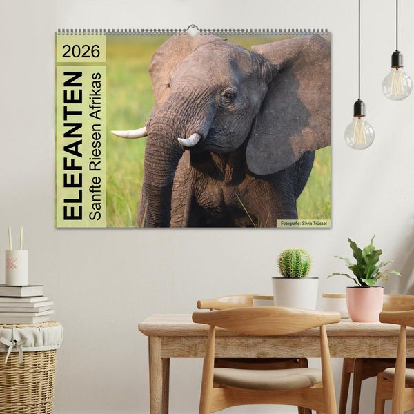 Produktbild: Elefanten - Sanfte Riesen Afrikas (Wandkalender 2026 DIN A2 quer), CALVENDO Monatskalender