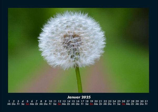 Produktbild: Naturlandschaften 2025 Fotokalender DIN A4