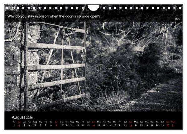 Produktbild: Through the Gate with Rumi (Wall Calendar 2026 DIN A4 landscape), CALVENDO 12 Month Wall Calendar
