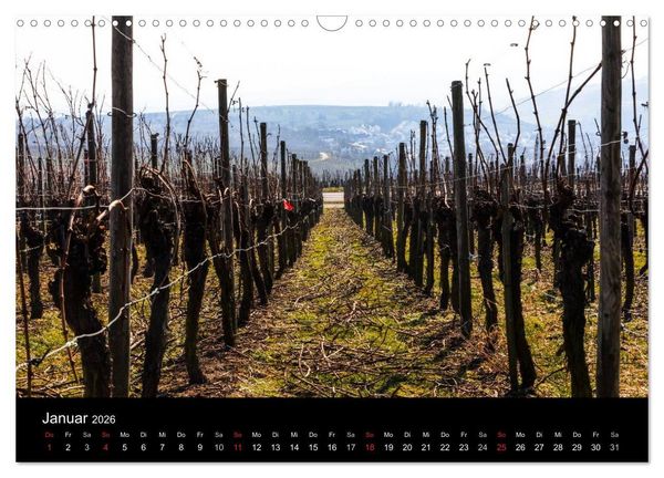Produktbild: Das Jahr im Weinberg (Wandkalender 2026 DIN A3 quer), CALVENDO Monatskalender