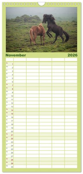 Produktbild: Familienplaner 2026 - Charakterk&ouml;pfe Islandpferde mit 5 Spalten (Wandkalender, 21 x 45 cm) CALVENDO