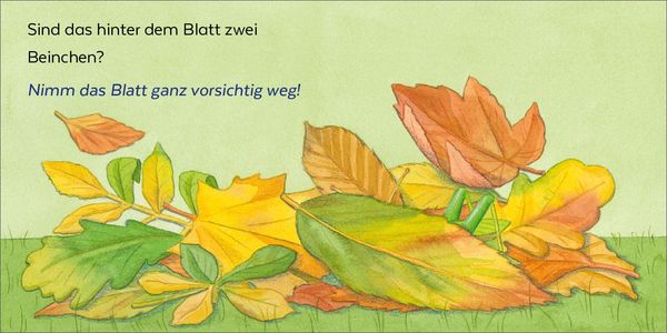 Produktbild: Wer hat sich denn hier versteckt?