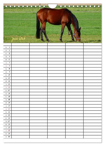 Produktbild: Bauernhoftiere Familienplaner (Wandkalender 2026 DIN A4 hoch), CALVENDO Monatskalender
