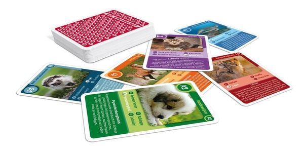 Produktbild: Tier-Quartett - Tierkinder