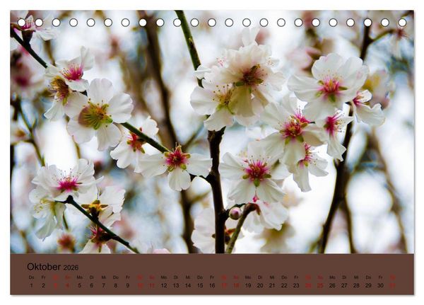 Produktbild: Kurpark Baden-Baden (Tischkalender 2026 DIN A5 quer), CALVENDO Monatskalender