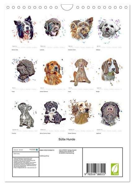 Produktbild: S&uuml;&szlig;e Hunde (Wandkalender 2026 DIN A4 hoch), CALVENDO Monatskalender