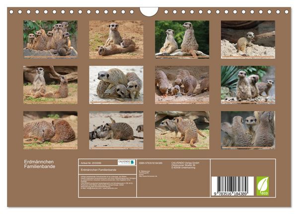 Produktbild: Erdm&auml;nnchen Familienbande (Wandkalender 2026 DIN A4 quer), CALVENDO Monatskalender