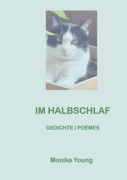 Produktbild: Im Halbschlaf