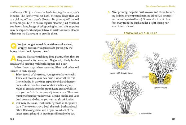 Produktbild: The Pruning Answer Book