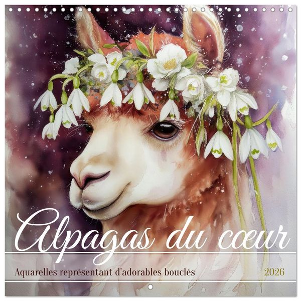 Produktbild: Alpagas du c&oelig;ur (Calendrier mural carr&eacute; 2026 30x30 cm) Calendrier double avec une page pour vos prises de notes