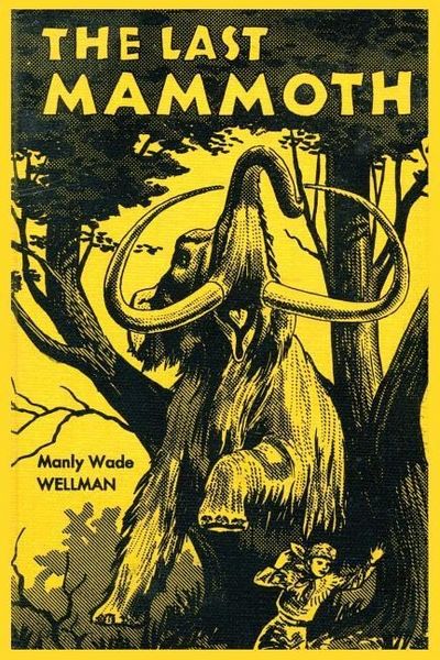 Produktbild: The Last Mammoth
