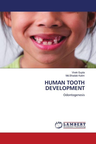 Produktbild: Human Tooth Development