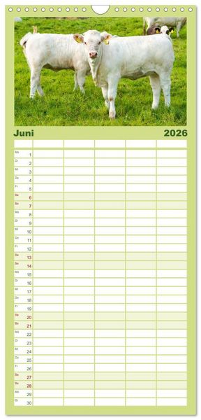 Produktbild: Familienplaner 2026 - Die Kuh macht Muuuh! mit 5 Spalten (Wandkalender, 21 x 45 cm) CALVENDO
