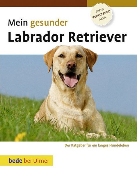 Produktbild: Mein gesunder Labrador Retriever