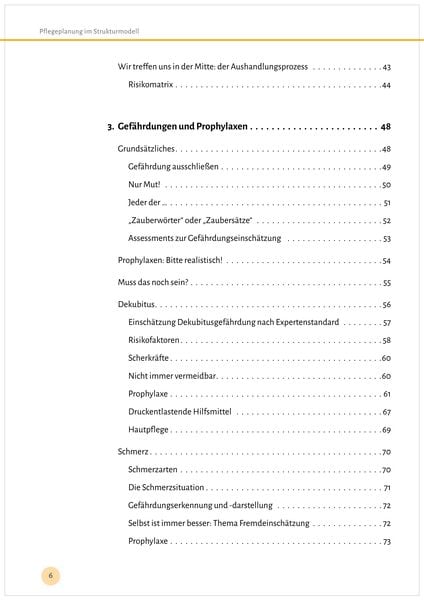 Produktbild: Pflegeplanung im Strukturmodell