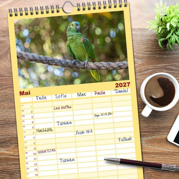 Produktbild: Familienplaner 2027 - Aras und bunte Sittiche: Exotische Papageien-Portr&auml;ts mit 5 Spalten (Wandkalender, 21 x 45 cm) CALVENDO