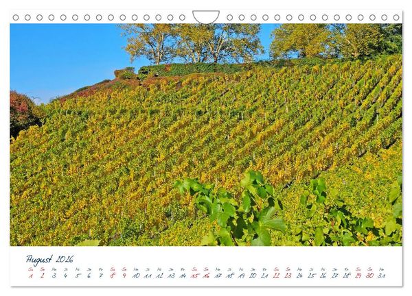 Produktbild: K&ouml;nigswinter-Oberdollendorf &ndash; Traum-Trip durch farbenpr&auml;chtige Weinberge (Wandkalender 2026 DIN A4 quer), CALVENDO Monatskalender