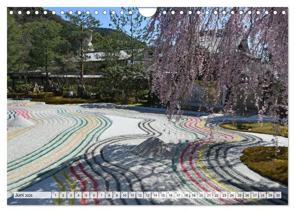 Produktbild: Die Kirschbl&uuml;te in Japan (Wandkalender 2026 DIN A4 quer), CALVENDO Monatskalender
