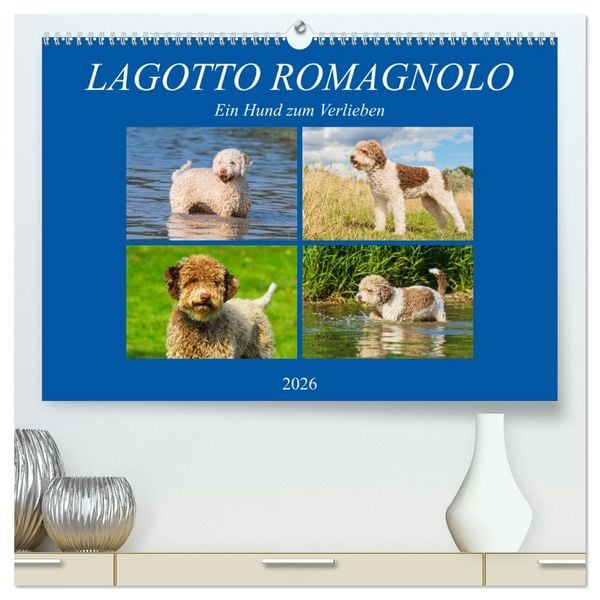 Produktbild: Lagotto Romagnolo - Ein Hund zum Verlieben (hochwertiger Premium Wandkalender 2026 DIN A2 quer), Kunstdruck in Hochglanz