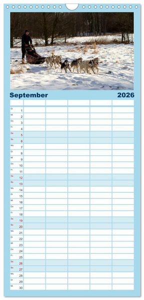 Produktbild: Familienplaner 2026 - Huskies! mit 5 Spalten (Wandkalender, 21 x 45 cm) CALVENDO